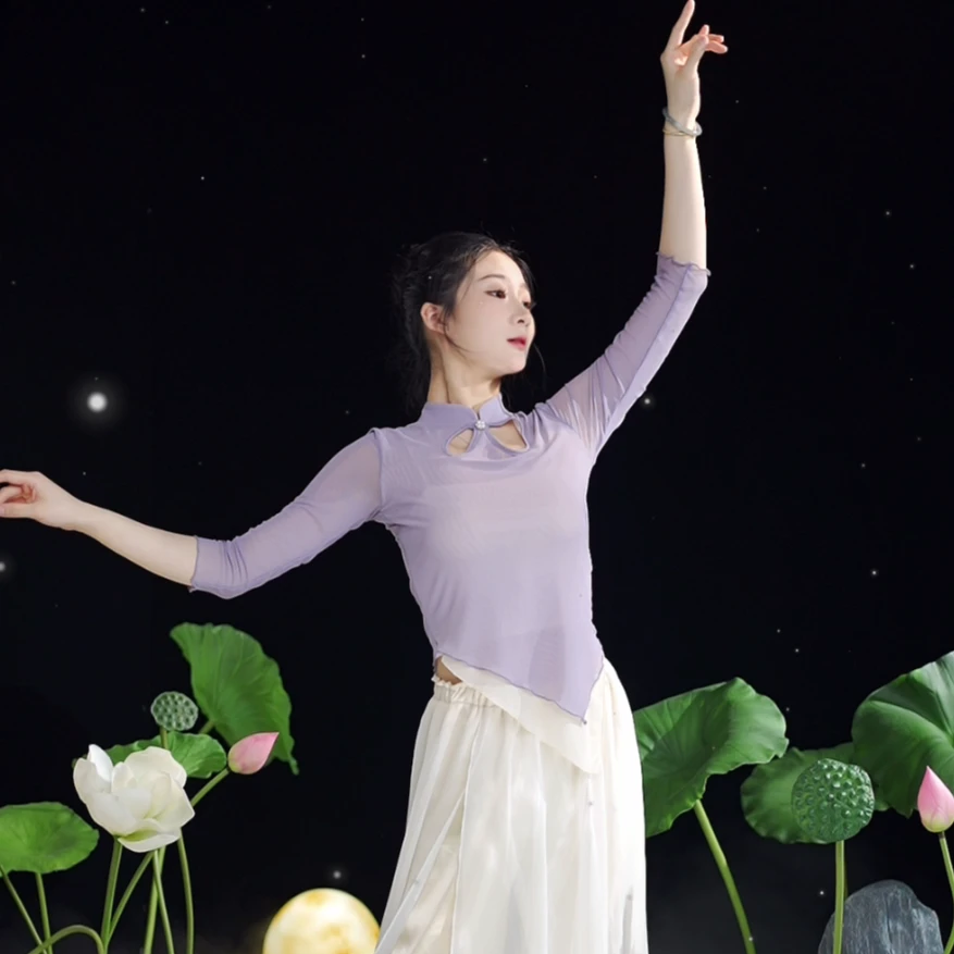 3260 D古典舞蹈服装上衣弹力中国舞现代舞女基训服练功服纱衣秋款