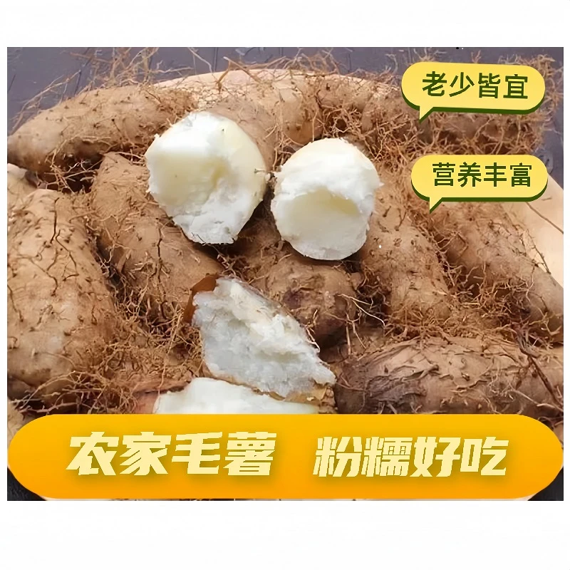 广西农家毛薯现挖现发2斤包邮