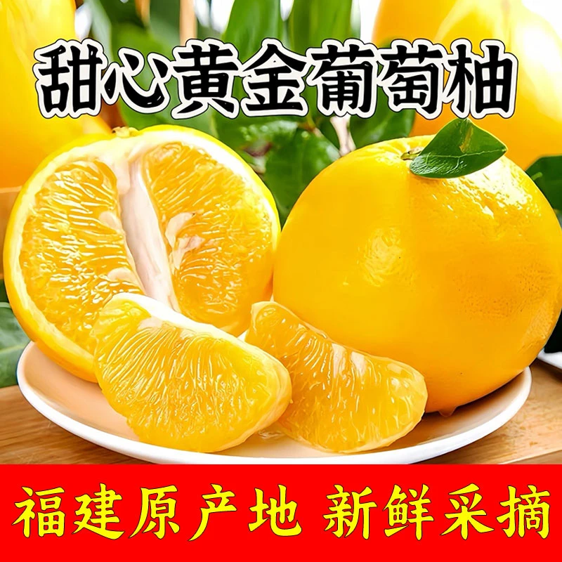 【送榨汁器 没水分包赔】福建黄金葡萄柚纯甜爆汁新鲜应季水果