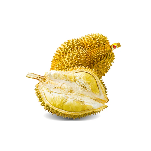 金枕榴莲
