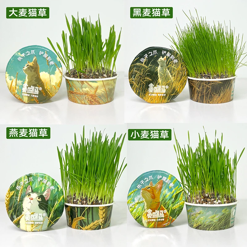 贪吃马宠物猫草罐头无土自种猫咪化毛零食懒人猫草排毛化毛去毛球