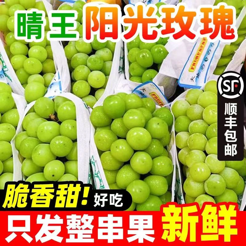 【韵达发货现摘现采】阳光玫瑰葡萄晴王水果新鲜应当季葡萄