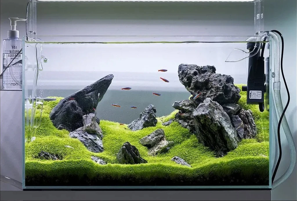 大鱼缸体造景骨架(不包底砂绿植)鱼缸装饰造景