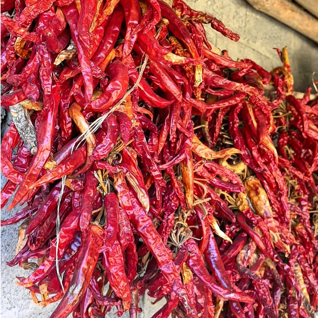 高原精选高山干辣椒