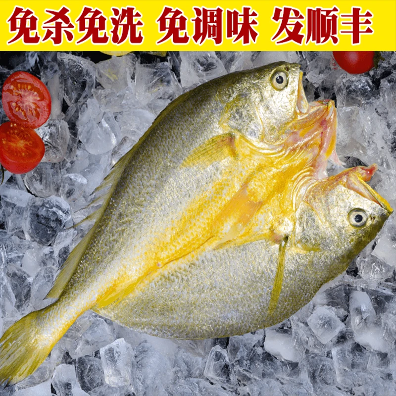 黄鱼鲞整条大黄鱼鲞海捕纯野生黄花鱼三去大鱼冰鲜开背
