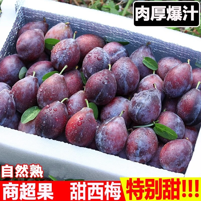 【顺丰礼盒】正宗新疆西梅新鲜大果喀什蓝密鲜果超甜孕妇当季水果
