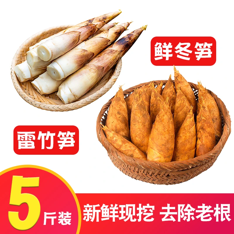 临安新鲜雷竹笋去根冬笋5斤【顺丰包邮】天目山野生竹笋蔬菜