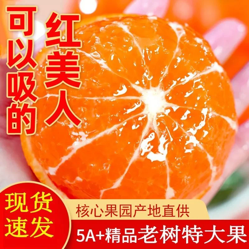 正宗温岭坞根红美人柑橘 爱媛28号果冻橙蜜桔子新鲜水果整箱