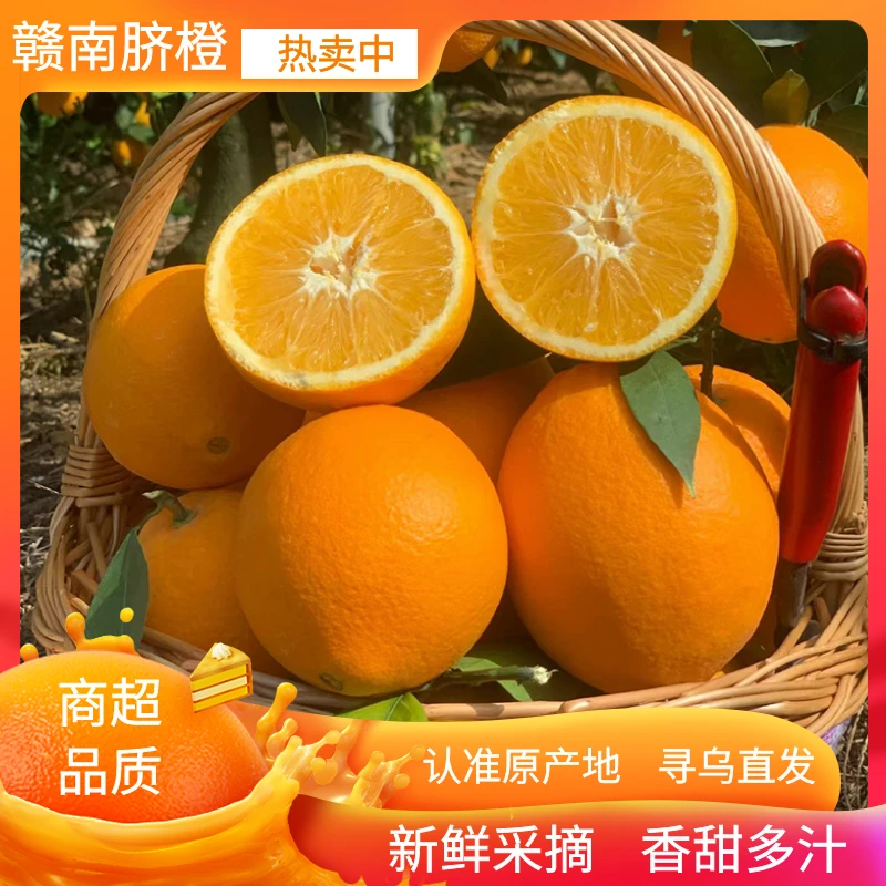 正宗江西赣南脐橙新鲜现摘甜橙应季水果送礼大果产地直发5/10斤装