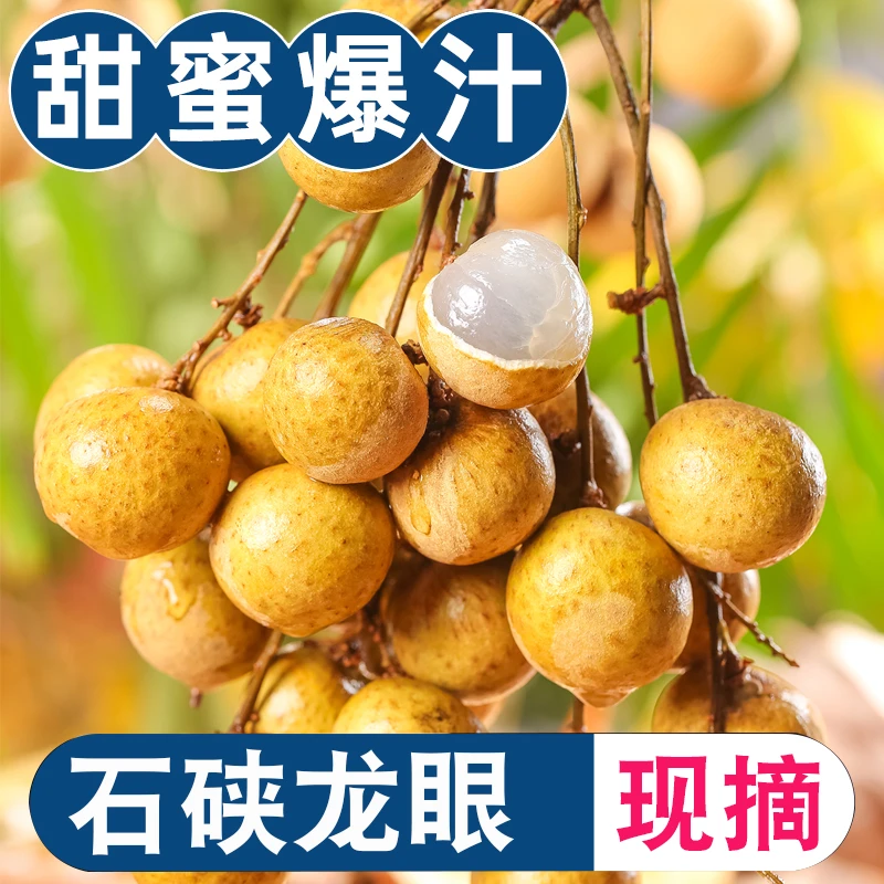 广东高州龙眼新鲜现摘现发储良石硖鲜龙眼桂圆当季水果整箱2/5斤