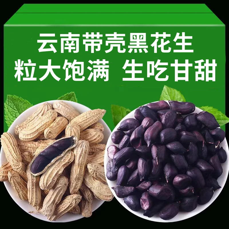 11.9抢1斤】新鲜云南带壳黑花生黑紫皮花生晒干颗粒饱满营养丰富