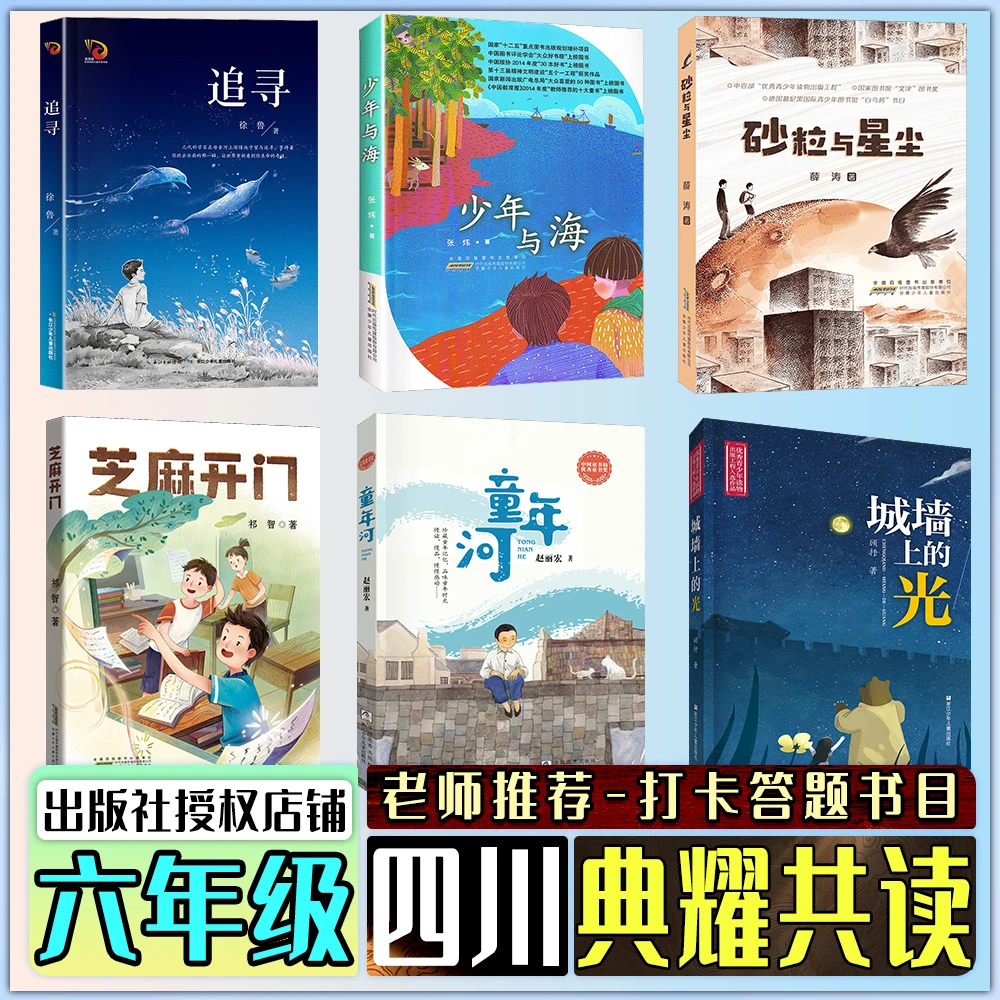 四川典耀共读六年级追寻少年与海砂粒与星尘城墙上的光答题阅读书