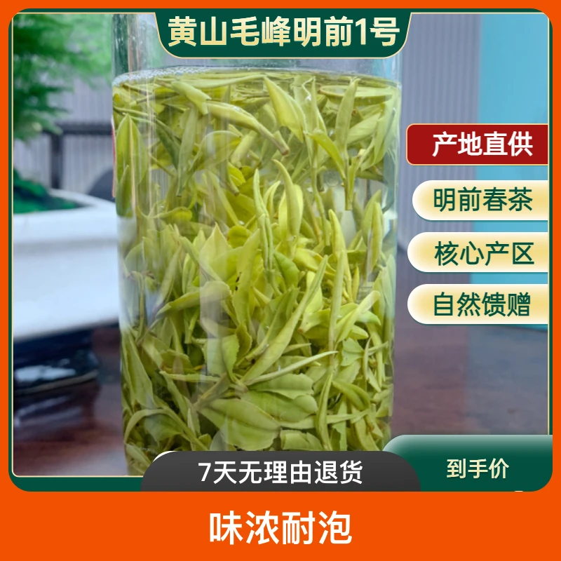 2025年新茶黄山茶叶毛峰口粮笨茶土毛峰品种1号味浓耐泡新号福利