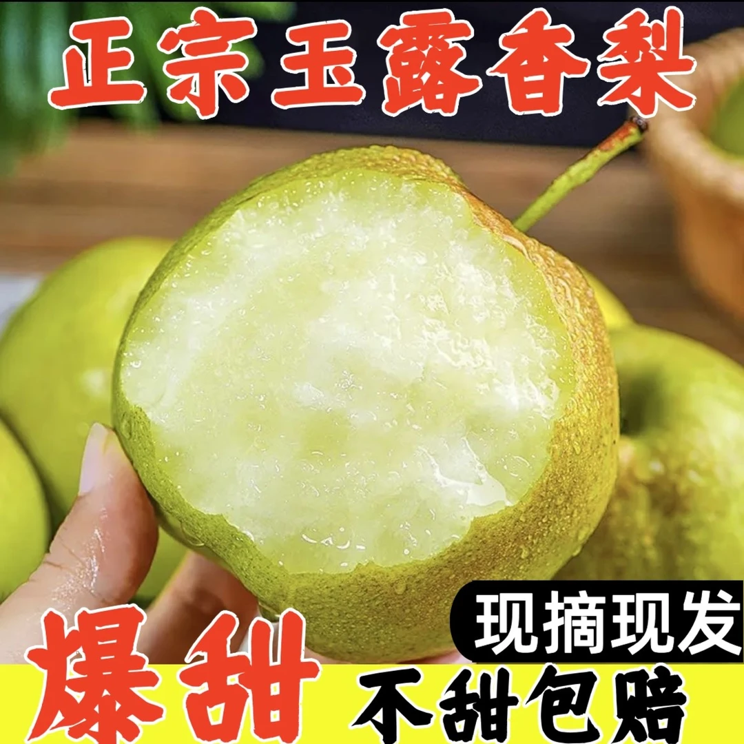 山西运城玉露香梨新鲜酥脆甘甜爽口多汁味美细腻水果薄皮梨脆梨