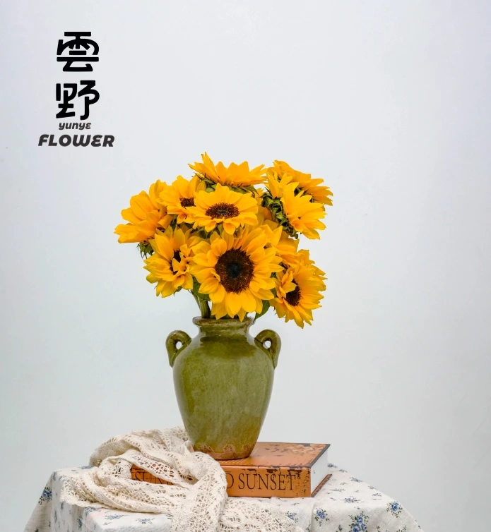 大花向日葵生活高品质