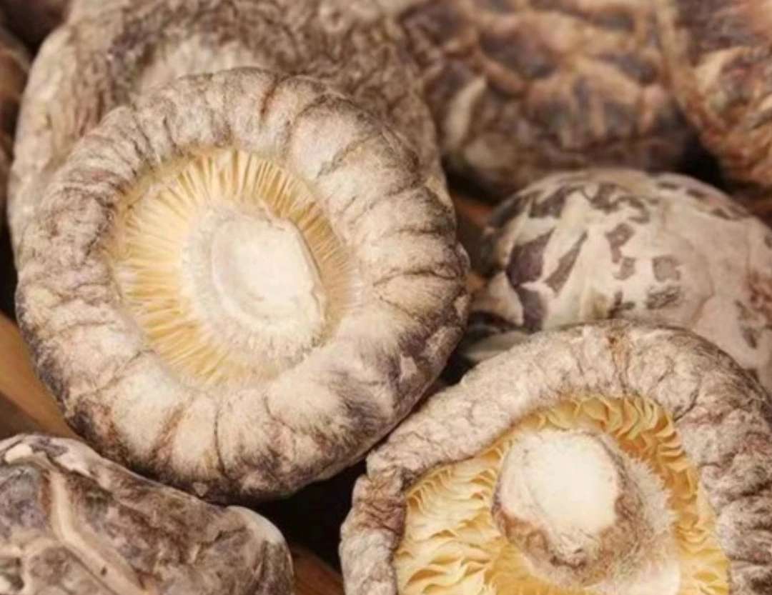 一斤丑花菇净重茶花肉厚湖北支持试吃新货蘑菇肉厚冬菇香菇干