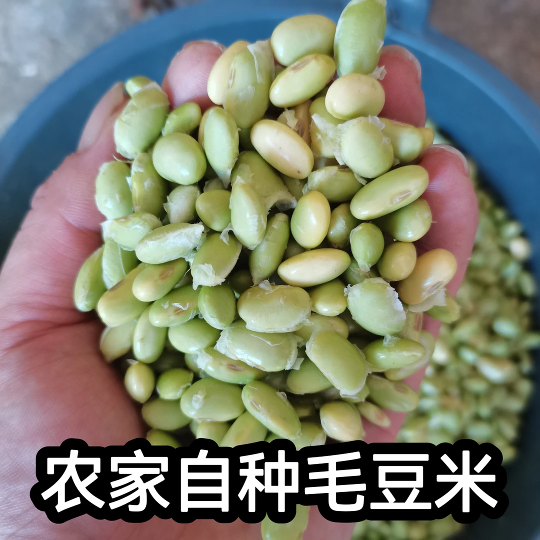 湖南农家自种毛豆不打药手工剥毛豆米 黄绿豆都有 泡沫箱冰袋发货