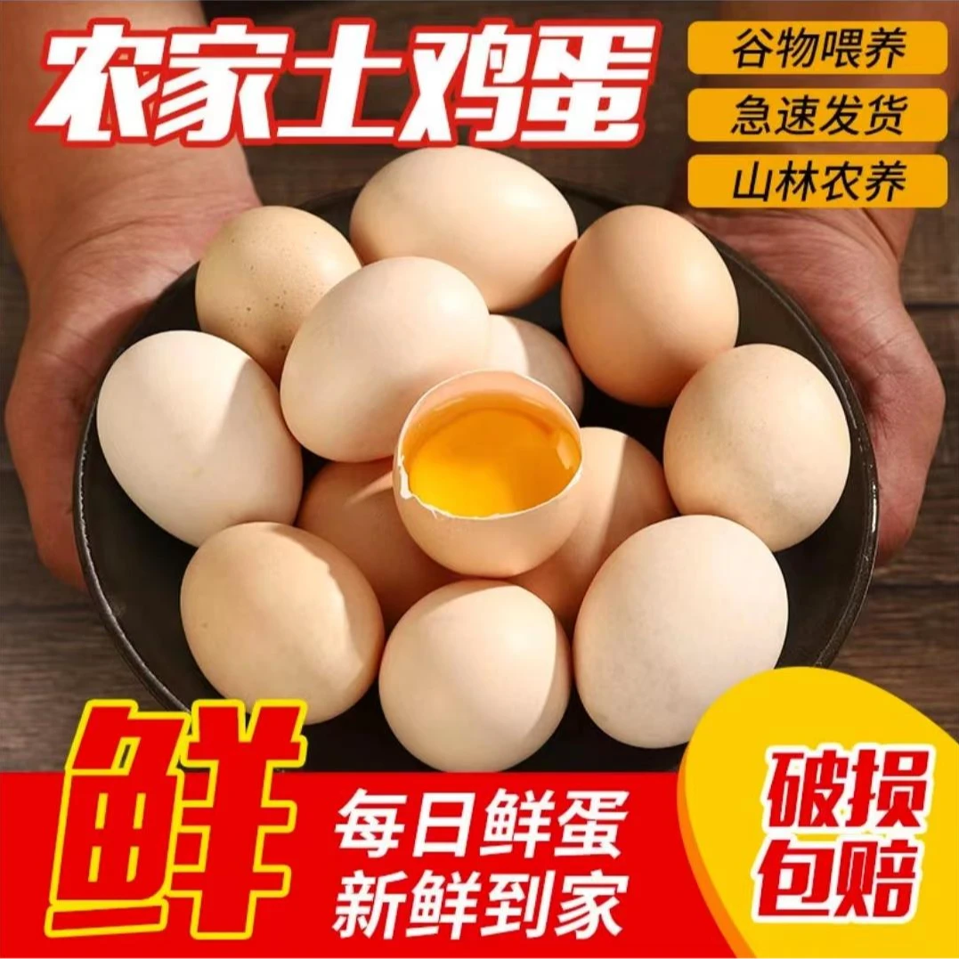 【万家灯火】新鲜现捡土鸡蛋 草鸡蛋 50枚（整箱装） 破损包赔