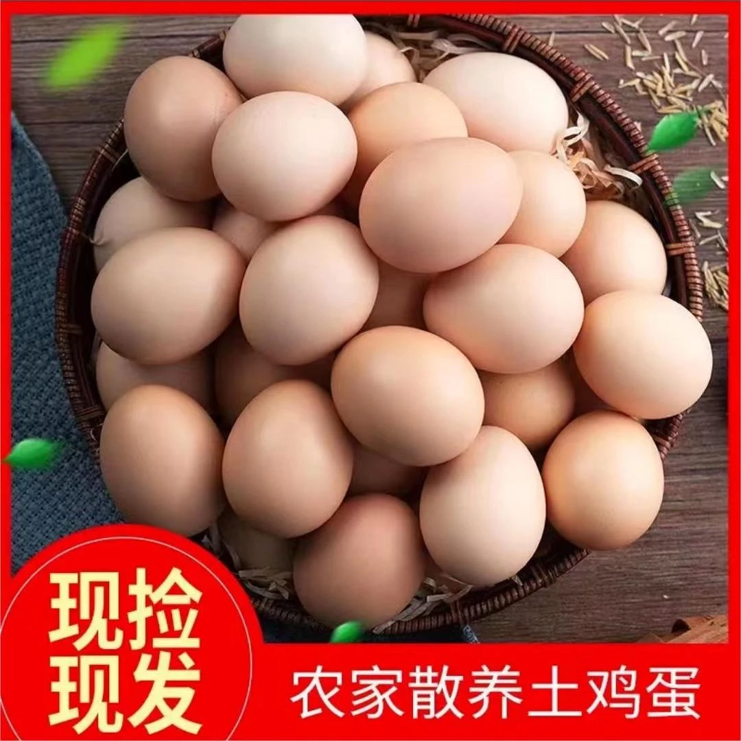 【胖丫家】新鲜现捡土鸡蛋 草鸡蛋 50枚（整箱装） 破损包赔