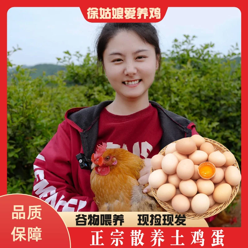 新鲜现捡土鸡蛋 草鸡蛋 50枚（整箱装） 破损包赔
