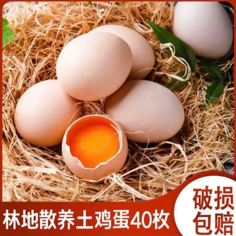 【散养】农家散养土鸡蛋  新鲜现发 破损包赔 40枚