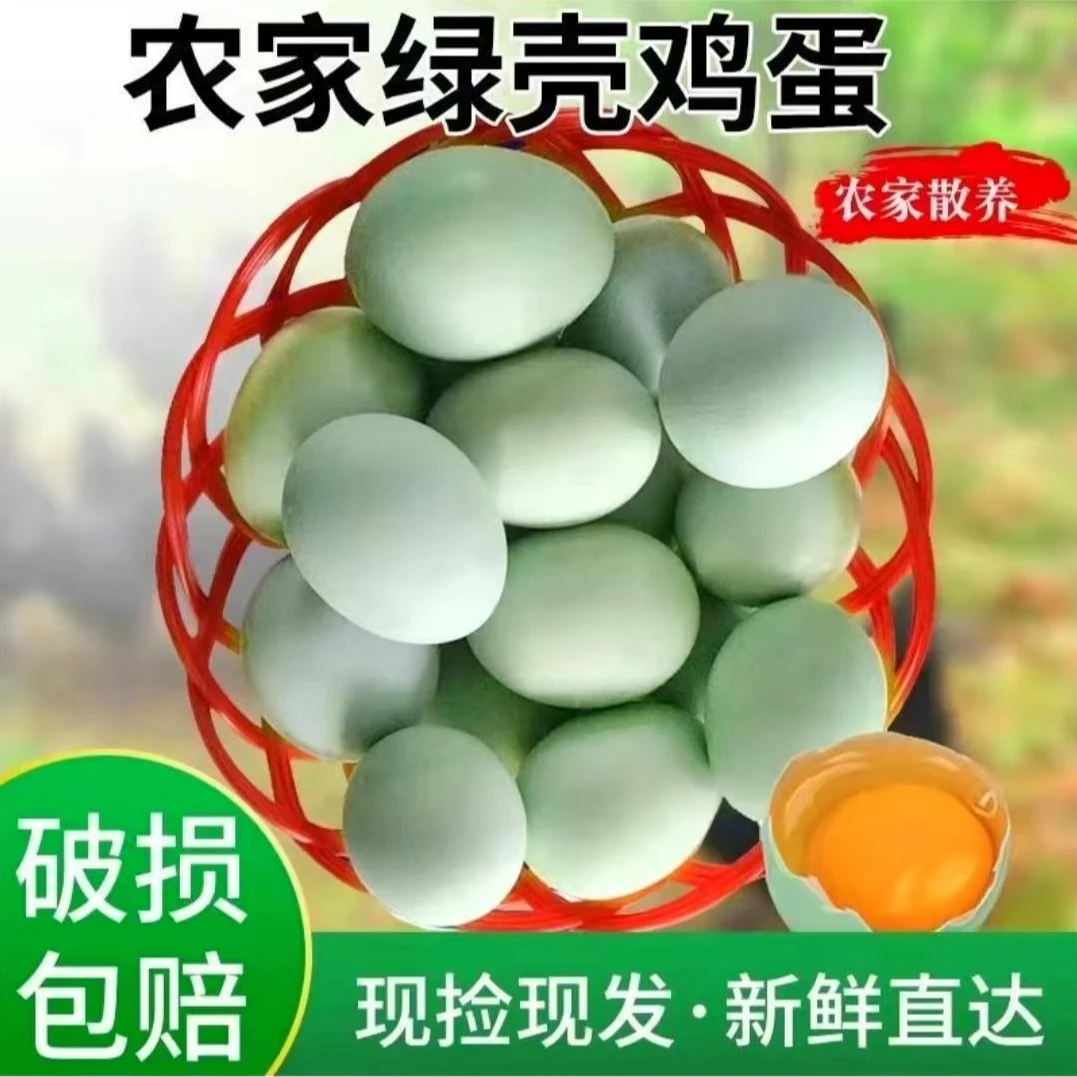 【胖丫】新鲜现捡现发绿壳蛋 乌鸡蛋 共40枚  净重1600g 破损包赔