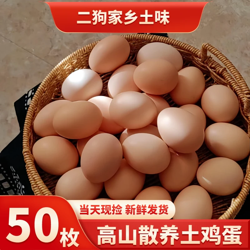 【二狗家】新鲜现捡土鸡蛋 草鸡蛋 50枚（整箱装） 破损包赔