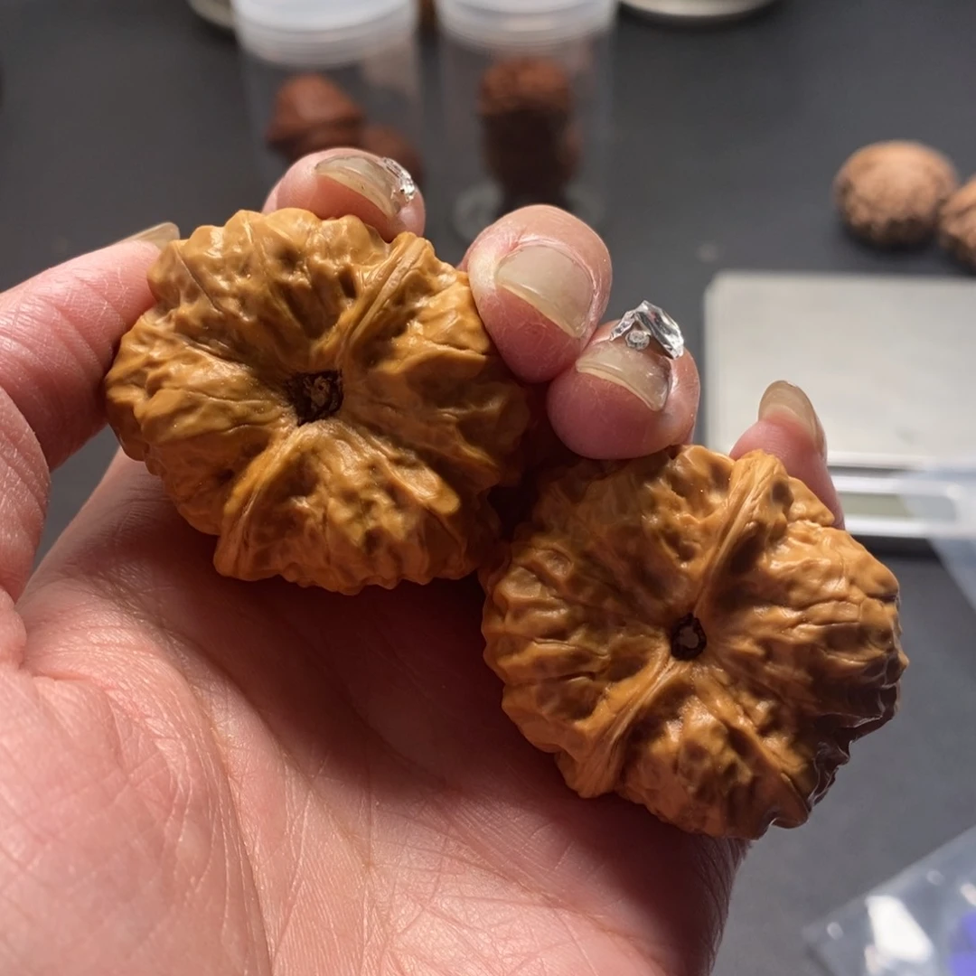 文玩核桃把件长*蛤蟆