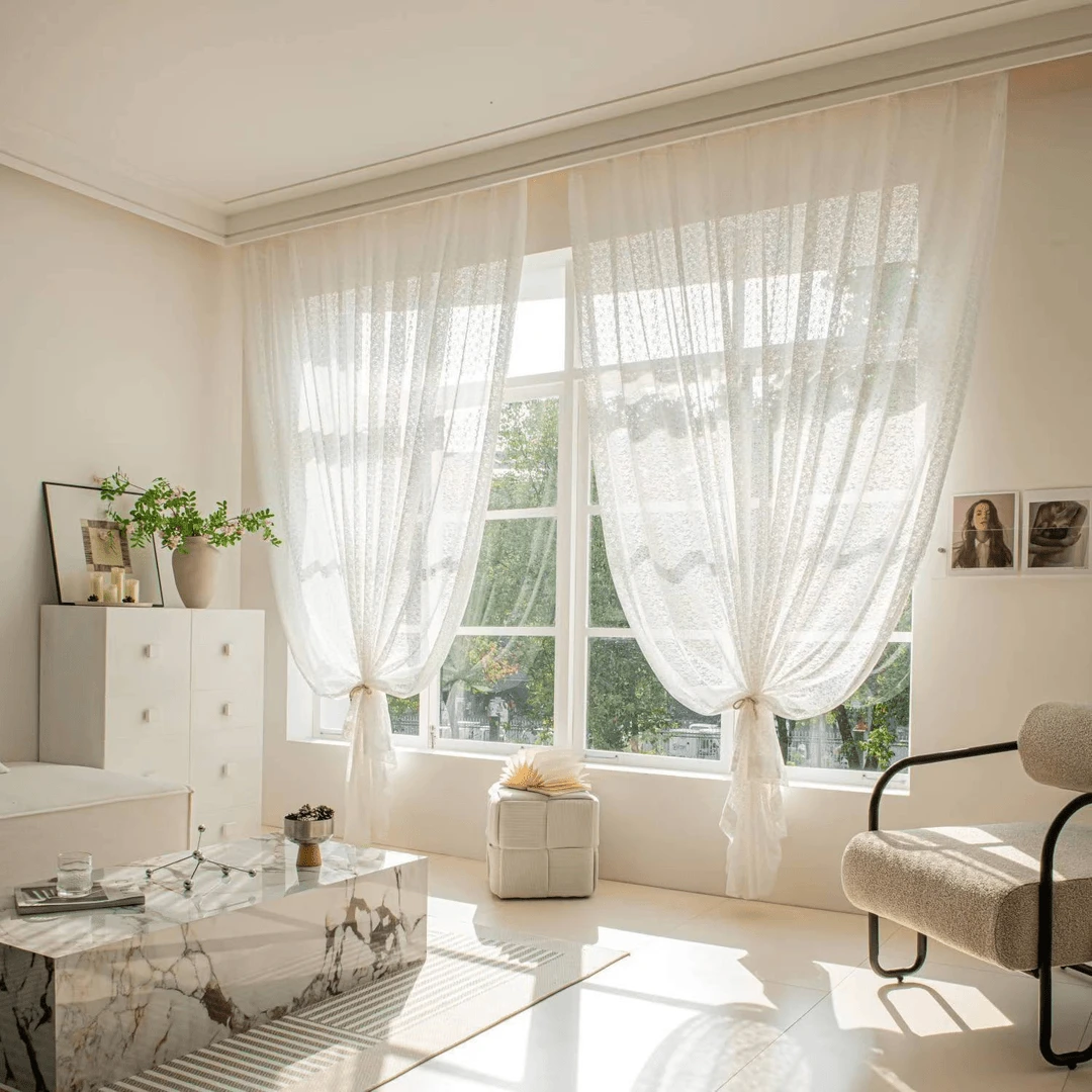 新款透光田园风高档蕾丝窗纱白纱帘客厅卧室阳台飘窗