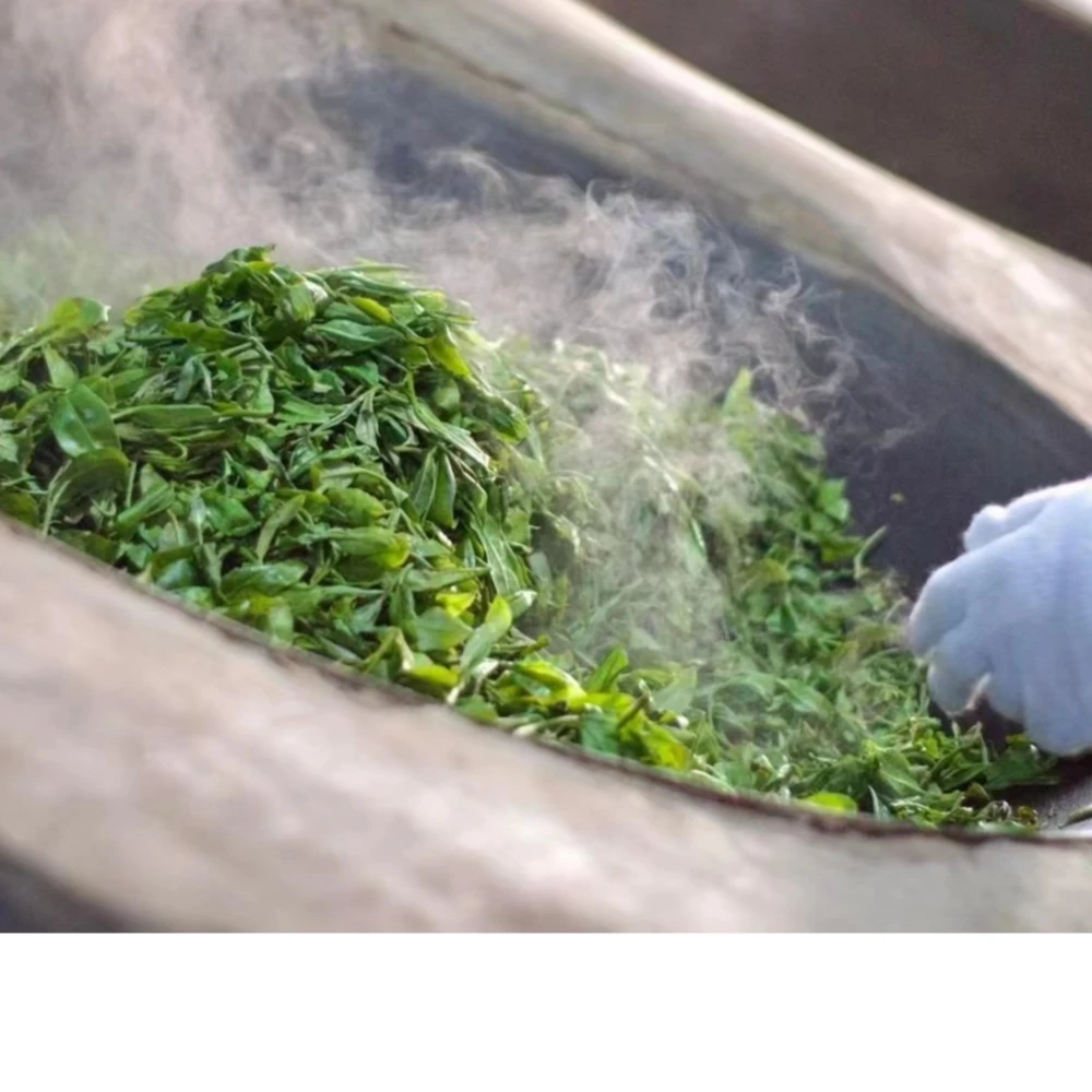 2023年坡脚古树单株散茶普洱生茶300克 顺丰包邮