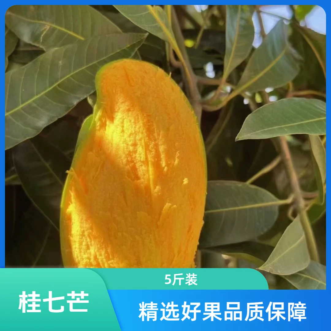 【福利回馈】广西桂七芒果一级中果5斤装约12-15个产地直发香甜多汁