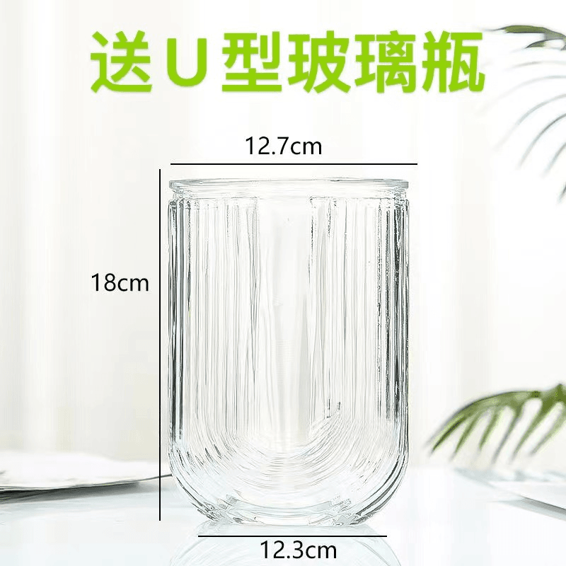 U型玻璃花瓶