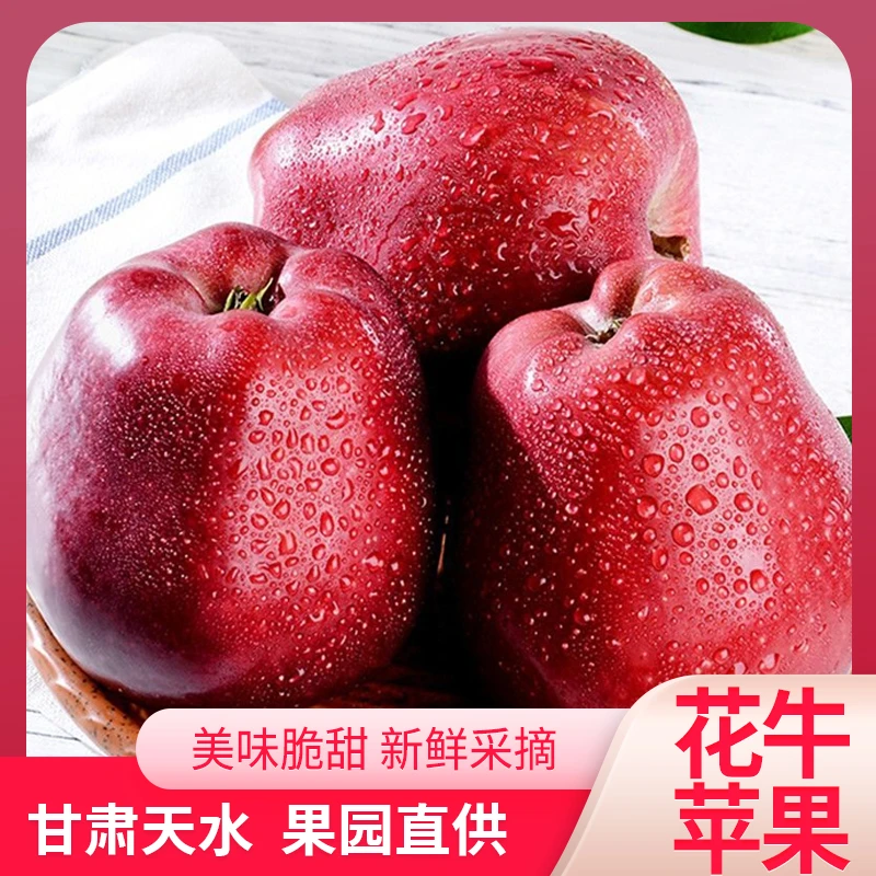 9.99元带箱2斤装甘肃天水花牛苹果新鲜蛇果宝宝刮泥辅食沙甜软糯