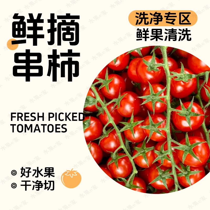 【洗净】串枝番茄500g