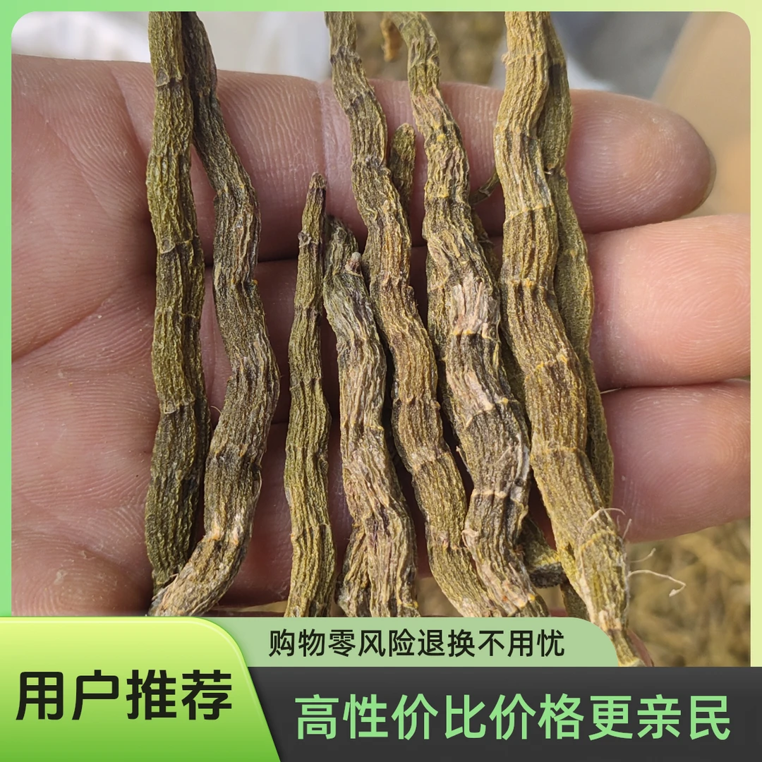 铁皮石斛，精品粗丁条/1000g装仙斛草