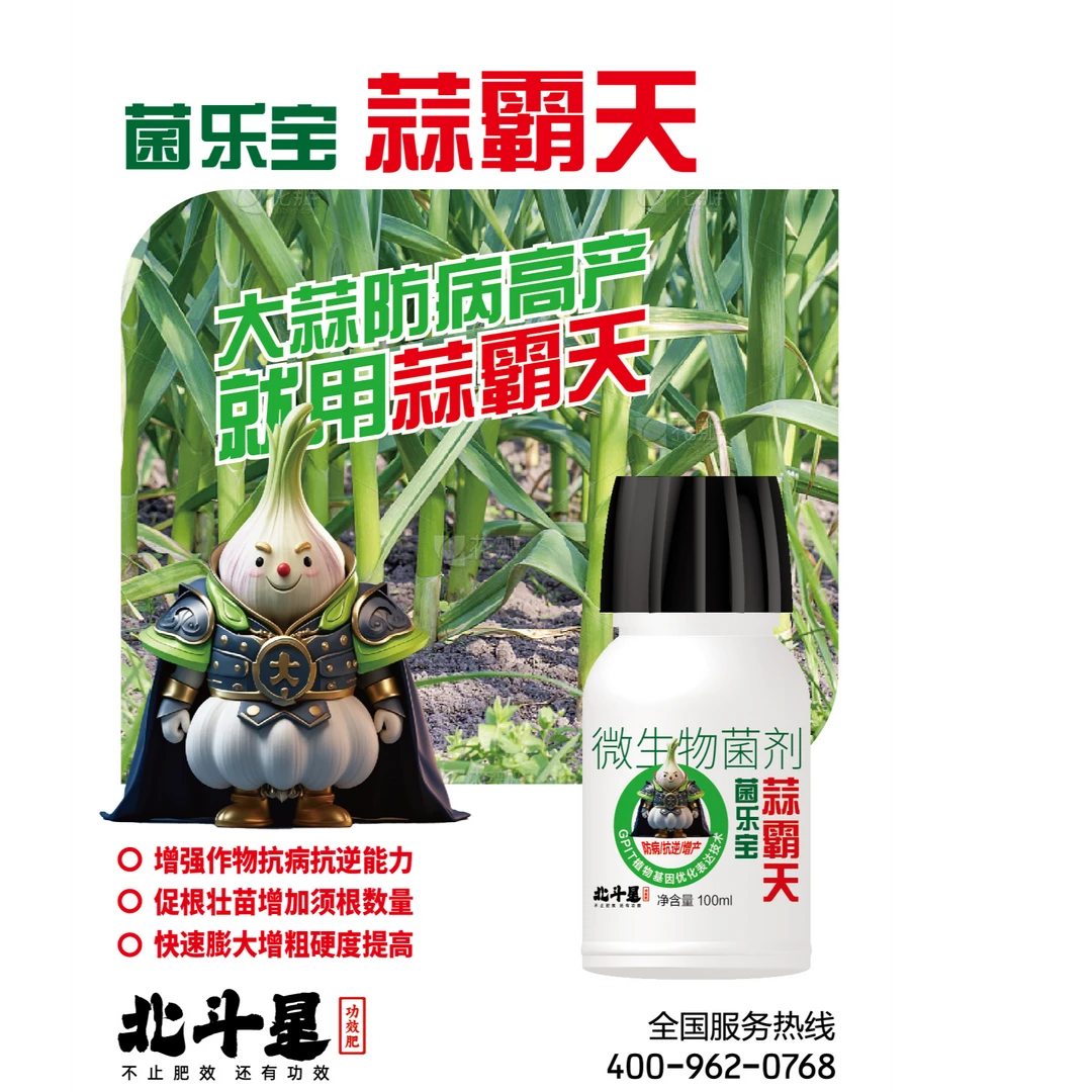 防冻蒜霸天 微生物菌剂 菌乐宝 抗逆膨大高效