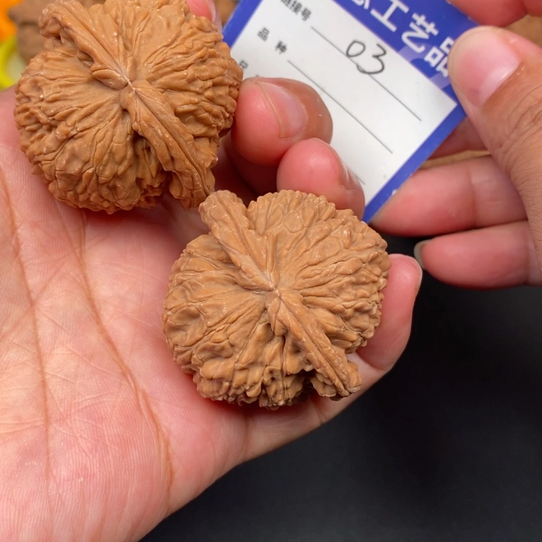 文玩核桃吊坠42全品白狮子