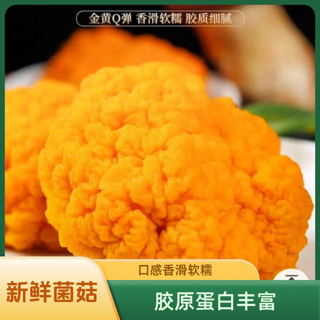 云南金耳，现采现发，产地直发，可刺身，胶原蛋白丰富，菌子，鲜菌