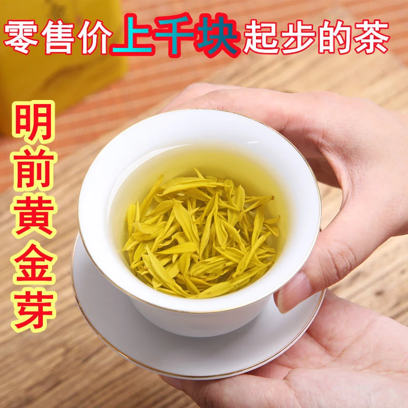 （2025年明前新茶）黄金芽H6头采浓香高山花果板栗香好茶安吉小肥芽