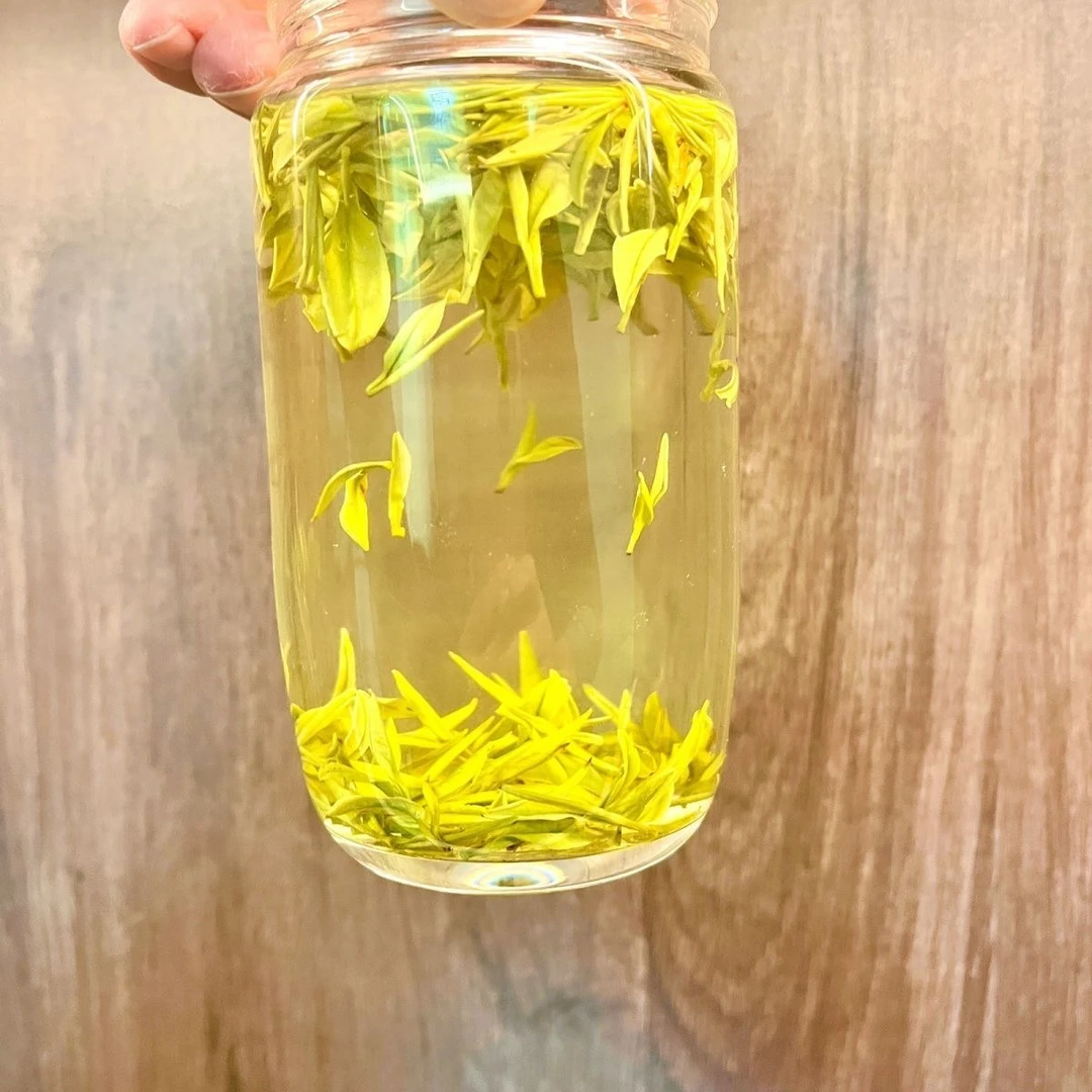 2025年新茶【头采牙尖H9】黄金芽明前芽头嫩芽尖尖高档茶叶高级绿茶