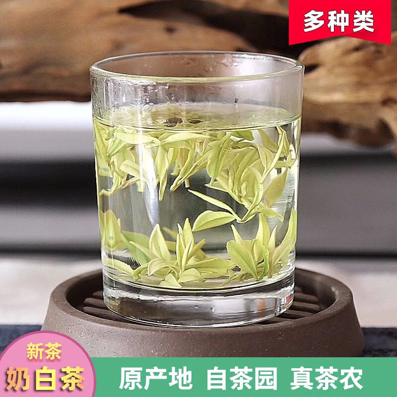 2025年锟桐大熊猫奶白香N888正宗安吉梅溪产地新茶鲜爽新茶奶香