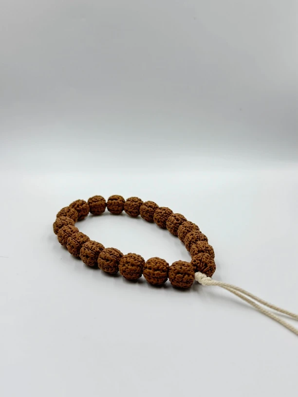 五瓣梅花九龙天花板单圈