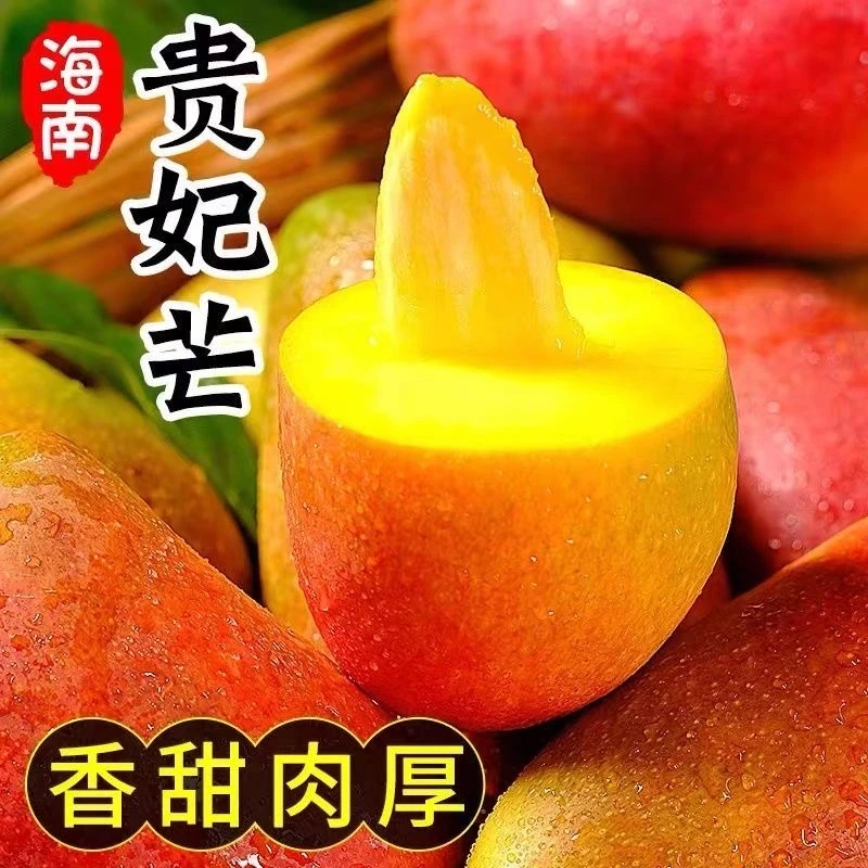 【坏果包赔】海南贵妃芒香甜多汁5斤/ 8斤贵妃芒果包邮
