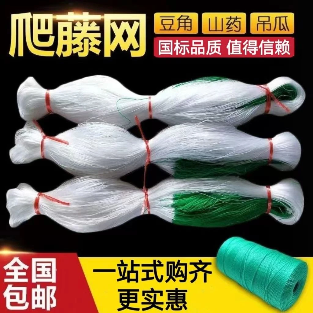 瓜豆黄瓜豆角苦瓜碗豆荷兰豆四季豆吊瓜植物爬藤网种植网攀爬农用