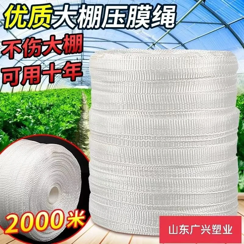 大棚抗老化压膜绳压膜带白色涤纶加厚耐磨压膜线压棚绳拉树绳农用