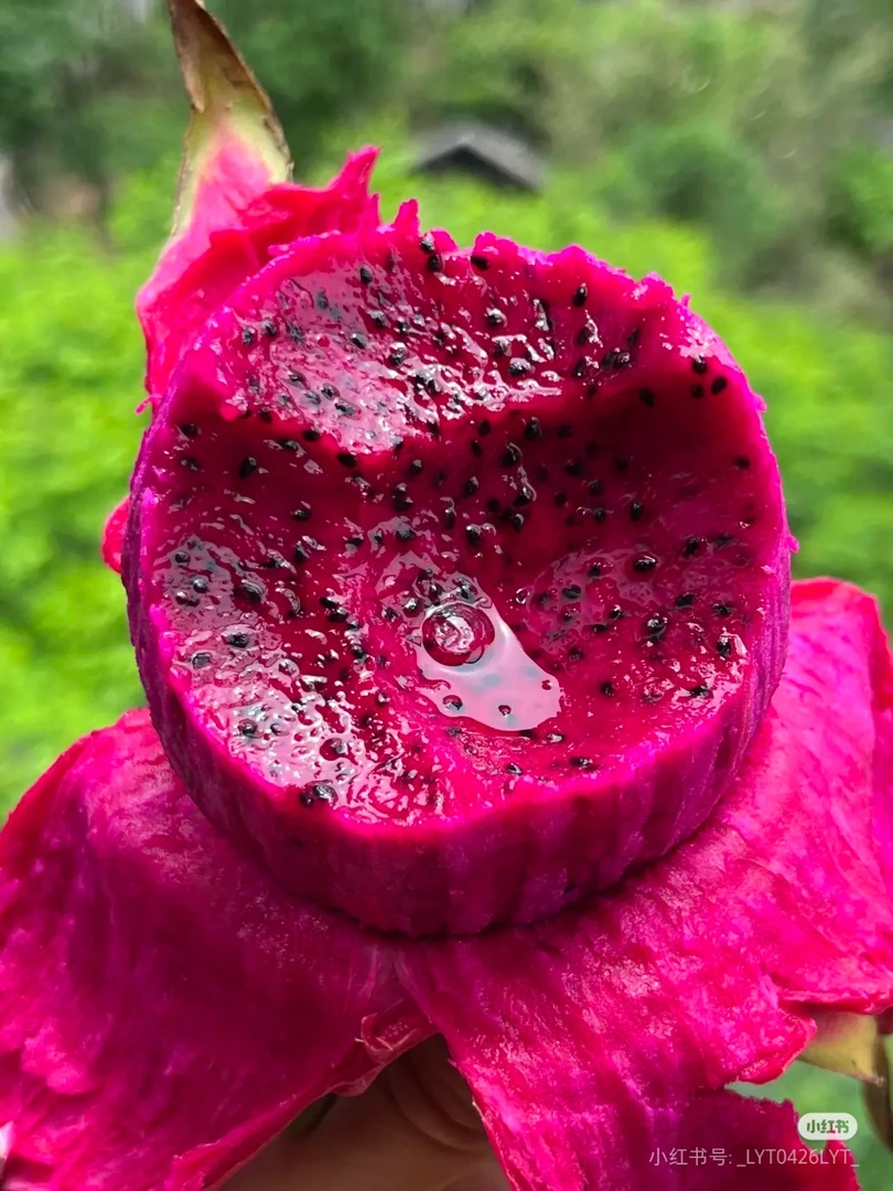 蜜宝火龙果两个（备注粉丝多送一个）