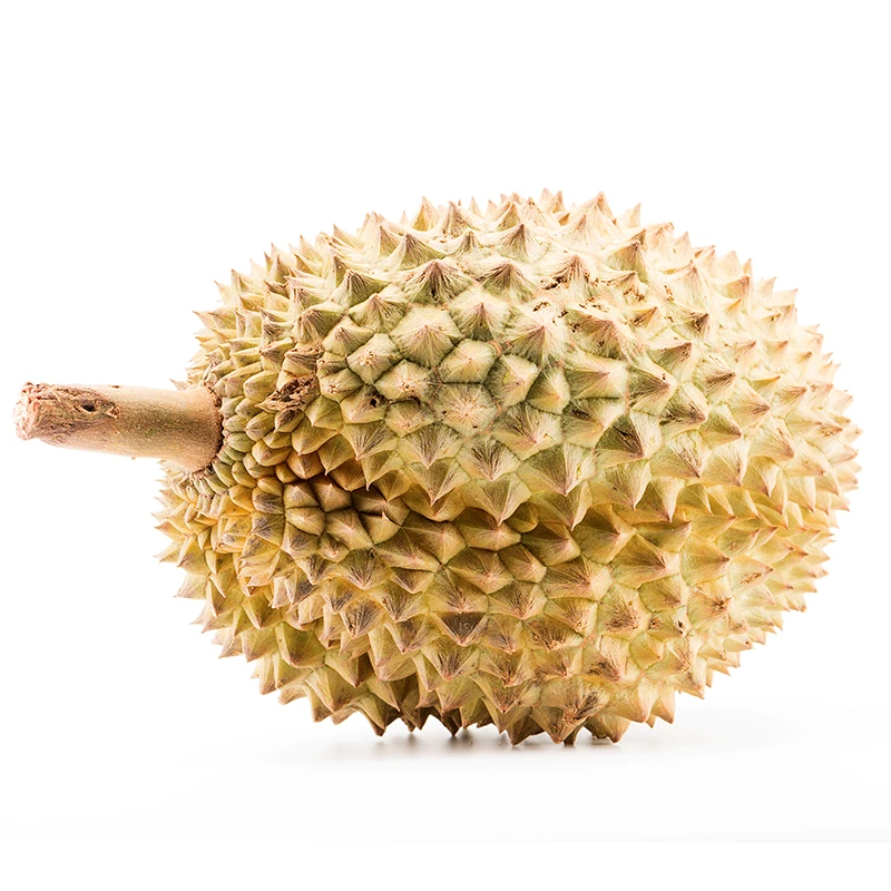 3号泰国金枕榴莲