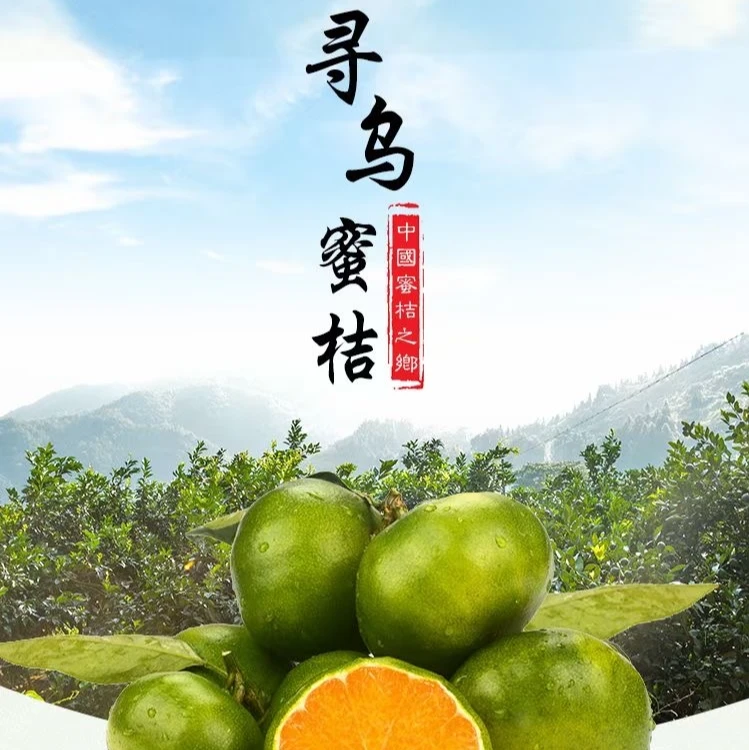 正宗寻乌农家小蜜桔青皮真实桔子小中大果混合视频含箱5.5斤混装