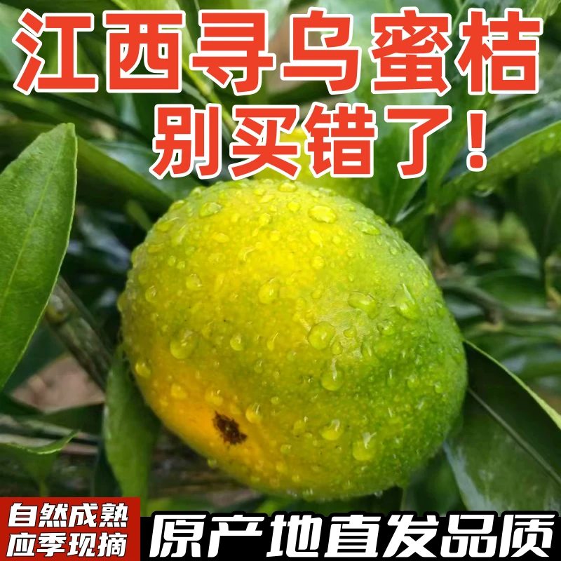 正宗江西赣南寻乌蜜桔皮薄酸桔多汁5斤装柑橘子孕妇当季新鲜成熟