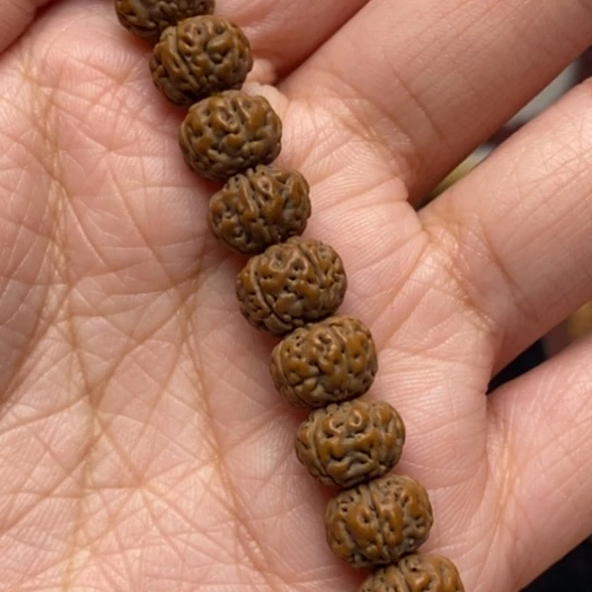 【闪购商品】菩提秦*手持勿里达老树王